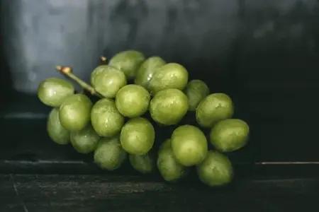 Grapes